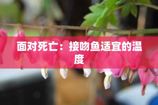 面对死亡：接吻鱼适宜的温度