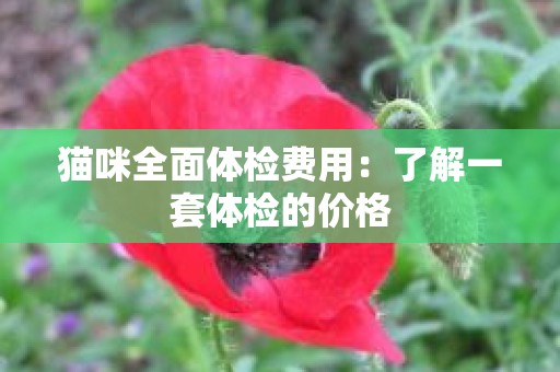 猫咪全面体检费用：了解一套体检的价格