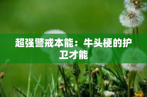 超强警戒本能：牛头梗的护卫才能