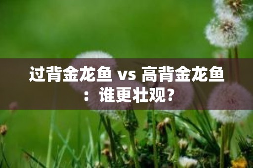 过背金龙鱼 vs 高背金龙鱼：谁更壮观？