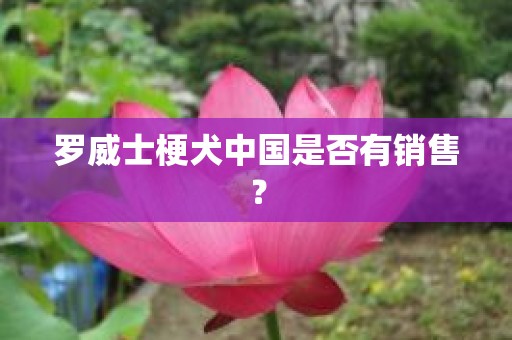 罗威士梗犬中国是否有销售？