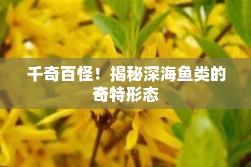 千奇百怪！揭秘深海鱼类的奇特形态