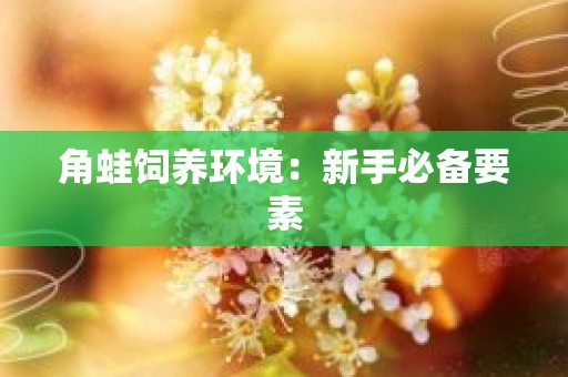 角蛙饲养环境：新手必备要素