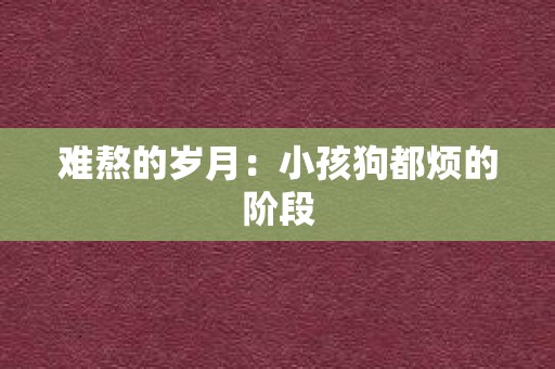 难熬的岁月：小孩狗都烦的阶段
