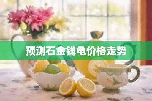 预测石金钱龟价格走势
