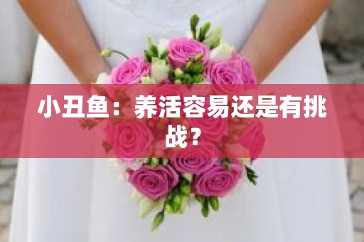 小丑鱼：养活容易还是有挑战？