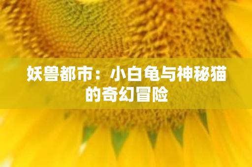 妖兽都市：小白龟与神秘猫的奇幻冒险