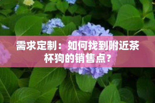 需求定制：如何找到附近茶杯狗的销售点？