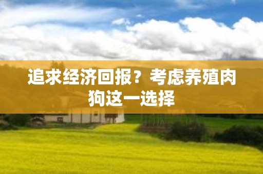 追求经济回报？考虑养殖肉狗这一选择