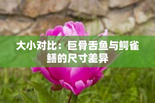 大小对比：巨骨舌鱼与鳄雀鳝的尺寸差异