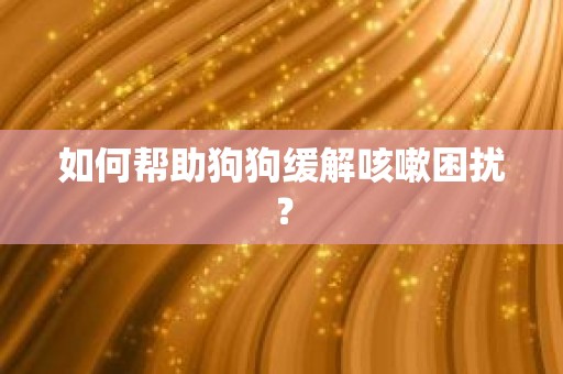 如何帮助狗狗缓解咳嗽困扰？