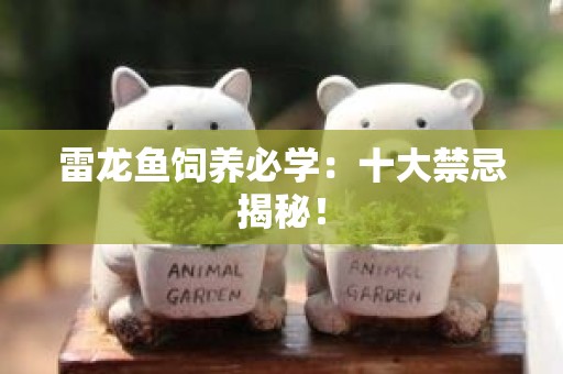 雷龙鱼饲养必学：十大禁忌揭秘！