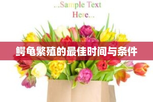 鳄龟繁殖的最佳时间与条件