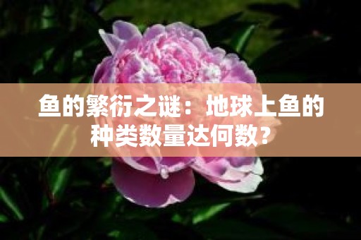 鱼的繁衍之谜：地球上鱼的种类数量达何数？