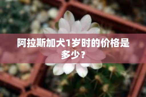 阿拉斯加犬1岁时的价格是多少？