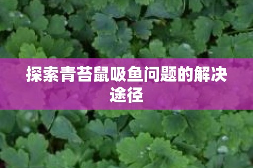 探索青苔鼠吸鱼问题的解决途径