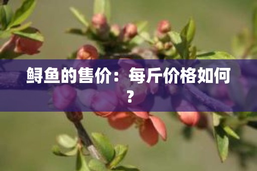 鲟鱼的售价：每斤价格如何？