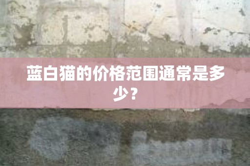 蓝白猫的价格范围通常是多少？
