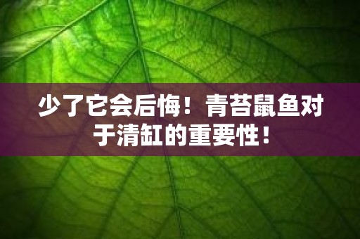 少了它会后悔！青苔鼠鱼对于清缸的重要性！