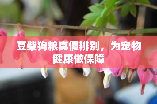 豆柴狗粮真假辨别，为宠物健康做保障