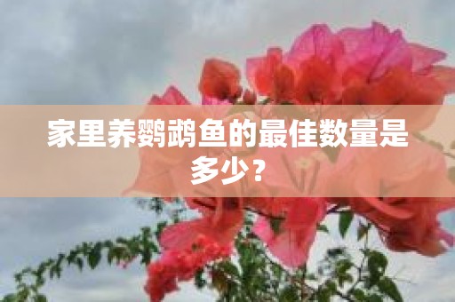 家里养鹦鹉鱼的最佳数量是多少？