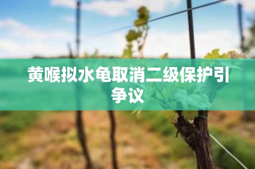 黄喉拟水龟取消二级保护引争议