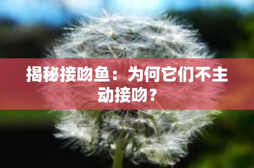 揭秘接吻鱼：为何它们不主动接吻？