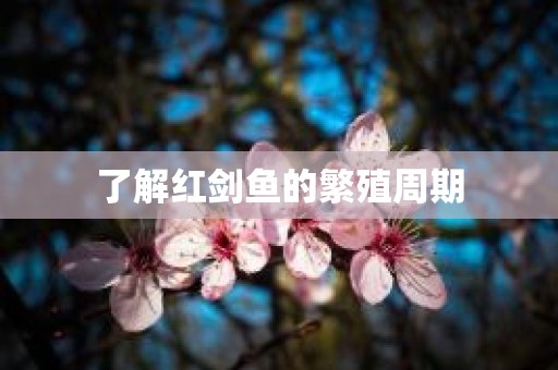了解红剑鱼的繁殖周期