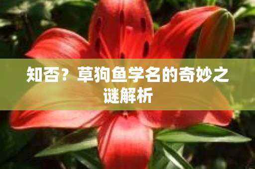 知否？草狗鱼学名的奇妙之谜解析