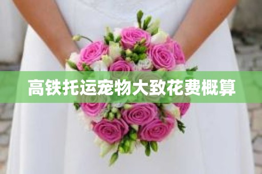 高铁托运宠物大致花费概算
