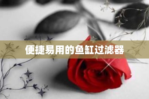 便捷易用的鱼缸过滤器