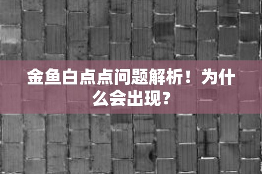 金鱼白点点问题解析！为什么会出现？