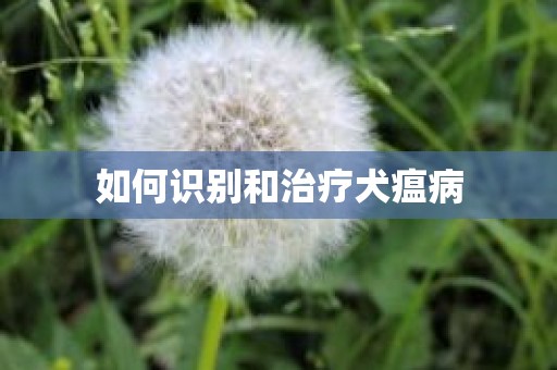 如何识别和治疗犬瘟病