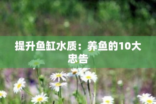 提升鱼缸水质：养鱼的10大忠告