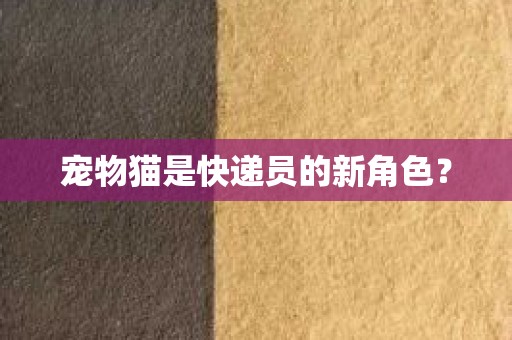 宠物猫是快递员的新角色？