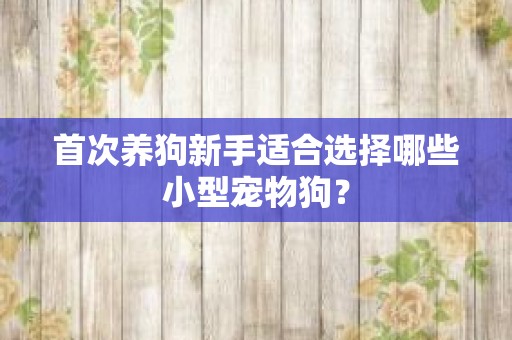 首次养狗新手适合选择哪些小型宠物狗？