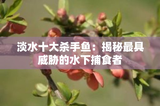 淡水十大杀手鱼：揭秘最具威胁的水下捕食者