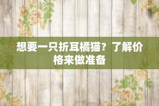 想要一只折耳橘猫？了解价格来做准备