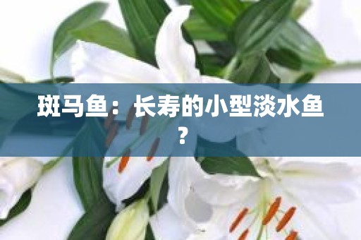 斑马鱼：长寿的小型淡水鱼？