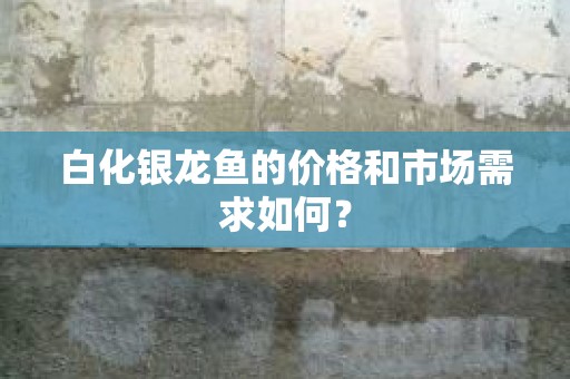 白化银龙鱼的价格和市场需求如何？