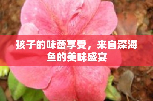孩子的味蕾享受，来自深海鱼的美味盛宴