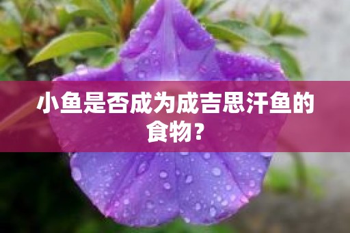小鱼是否成为成吉思汗鱼的食物？