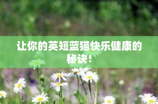 让你的英短蓝猫快乐健康的秘诀！