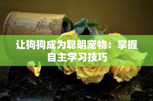 让狗狗成为聪明宠物：掌握自主学习技巧