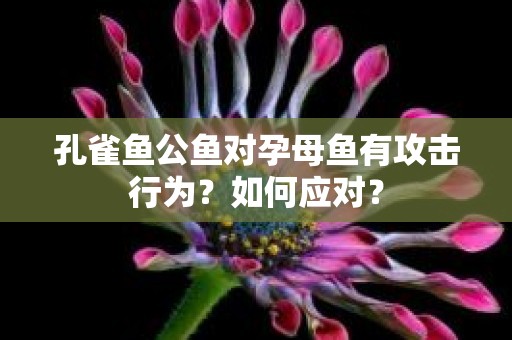 孔雀鱼公鱼对孕母鱼有攻击行为？如何应对？