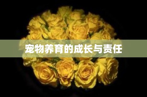 宠物养育的成长与责任