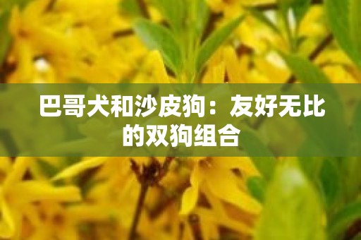 巴哥犬和沙皮狗：友好无比的双狗组合