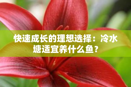 快速成长的理想选择：冷水塘适宜养什么鱼？