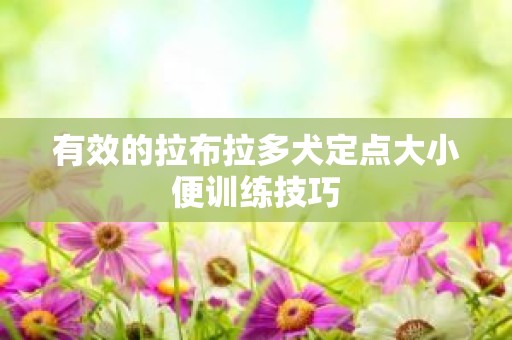 有效的拉布拉多犬定点大小便训练技巧