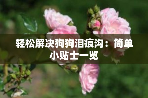 轻松解决狗狗泪痕沟：简单小贴士一览